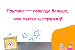 Груминг-салон Счастливый зверь, с рейтингом 2 - находится по адресу Иркутск, улица Омулевского, 22 к1 