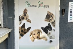 Ветеринарная клиника Помощь другу, с рейтингом 3.7 - находится по адресу Волгоград, проспект им. В.И. Ленина, 42 
