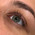 фотография Wowbrow