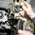 фотография Amsterdam-motors