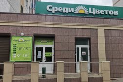 Магазин товаров для дома и дачи Среди цветов, с рейтингом 5 - находится по адресу Воронеж, Южно-Моравская улица, 8 