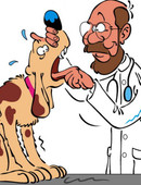 Теймуразов Алексей Константинович