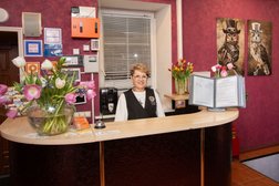 Гостиница Сова, с рейтингом 3.4 - находится по адресу Москва, Суворовская улица, 2Б 