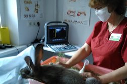 Ветеринарная клиника на улице Султанова, 8, с рейтингом 3.8 - находится по адресу Республика Башкортостан, Уфа, улица Султанова, 8 