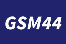 Gsm44