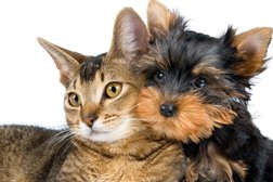 Ветеринарная аптека в Жетысуском районе, с рейтингом 5 - находится по адресу Алматы, Райымбека проспект, 223а/1 