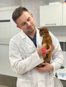 Базылевский Алексей Александрович