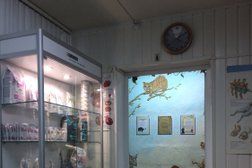 Ветеринарная клиника на Парковой улице, с рейтингом 2.3 - находится по адресу Череповец, Парковая улица, 7 