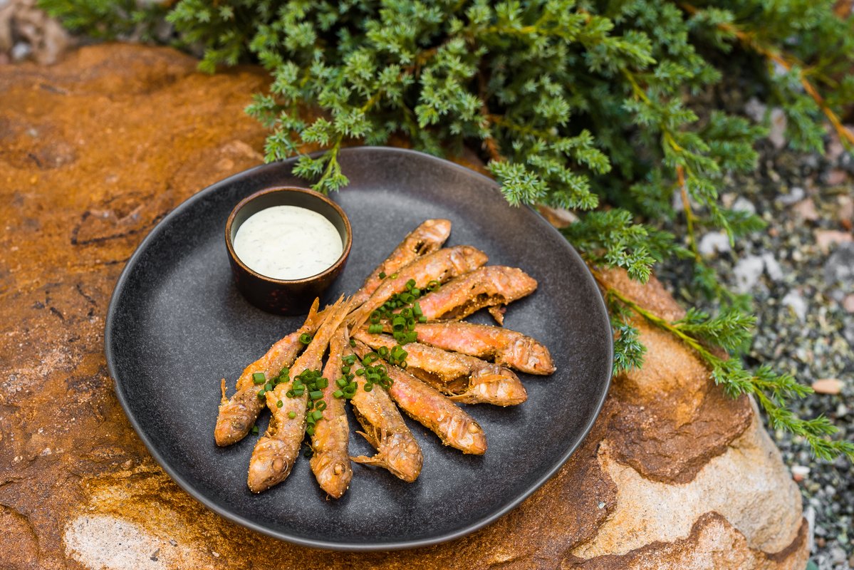 Ноев Ковчег, ресторан по адресу Москва, Малый Ивановский переулок, 7 ...