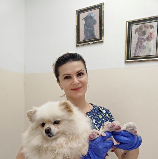 Наталья Владимировна Евтушенко