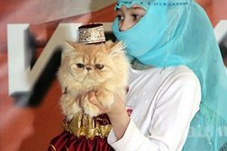 Ателье Студия мод, с рейтингом 4.3 - находится по адресу Екатеринбург, улица 8 Марта, 5 