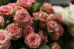 Магазин цветов и подарков Полынь, с рейтингом 4.7 - находится по адресу Санкт-Петербург, Среднеохтинский проспект, 18 