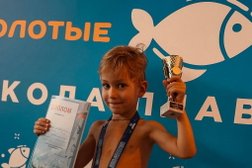 Детский клуб обучения плаванию Золотые рыбки, с рейтингом 4.7 - находится по адресу Москва, 1-й Красносельский переулок, 9 