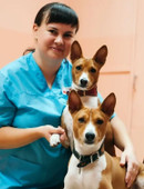 Матвеева Елена Сергеевна