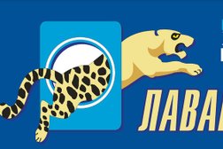 Химчистка-прачечная Лавандерия, с рейтингом 4 - находится по адресу Москва, Пролетарский просп., 2 