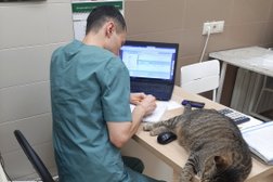 Ветеринарная клиника ДокторВет, с рейтингом 3.7 - находится по адресу Республика Татарстан, Казань, проспект Ибрагимова, 63а 