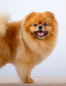 Кузнецова Татьяна