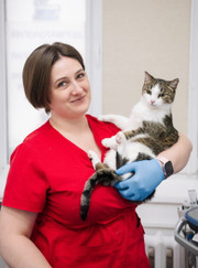 Ветеринарный врач-терапевт, ветеринарный врач УЗИ Надежда Ивановна Коваль