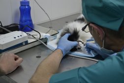 Клиника доктора Васина Н.Н., с рейтингом 4 - находится по адресу Республика Татарстан, Казань, улица Рихарда Зорге, 48 