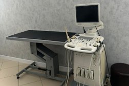 Ветеринарная клиника Белый Лев, с рейтингом 4.5 - находится по адресу Краснодарский край, городской округ Сочи, посёлок городского типа Дагомыс, Армавирская улица, 139 