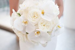 Dukhovnykh Flowers, с рейтингом 3 - находится по адресу Сочи, улица Горького, 53 