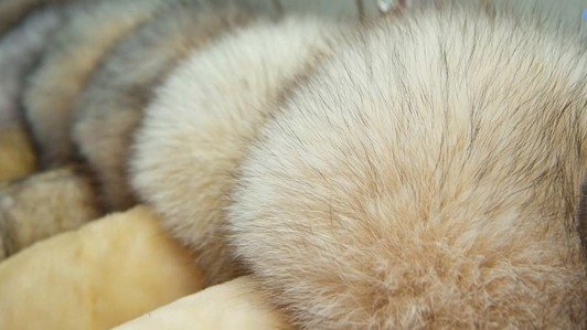 Химчистка Диана на Кунцевской улице - отзывы, фото, цены, телефон и ...