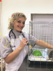 Главный ветеринарный врач Ольга Олеговна Смолякова