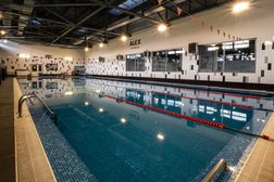 Фитнес-клуб Alex Fitness, с рейтингом 2.5 - находится по адресу Москва, проспект Андропова, 22 