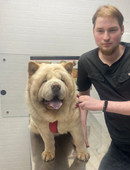 Молодкин Андрей Игоревич