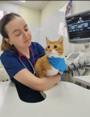 Вилисова (Беспятова) Евгения Викторовна