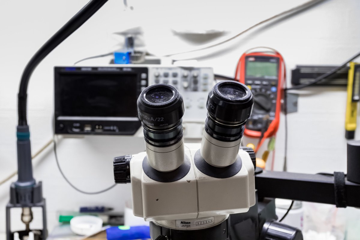 Service lab ставрополь. лаборатория ремонт ноутбука. лаборатория по ремонту электроники. лаборатория ремонта 4 саранск. русская лаборатория спб.