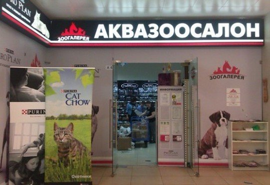 Зоогалерея Интернет Магазин Москва Каталог Товаров