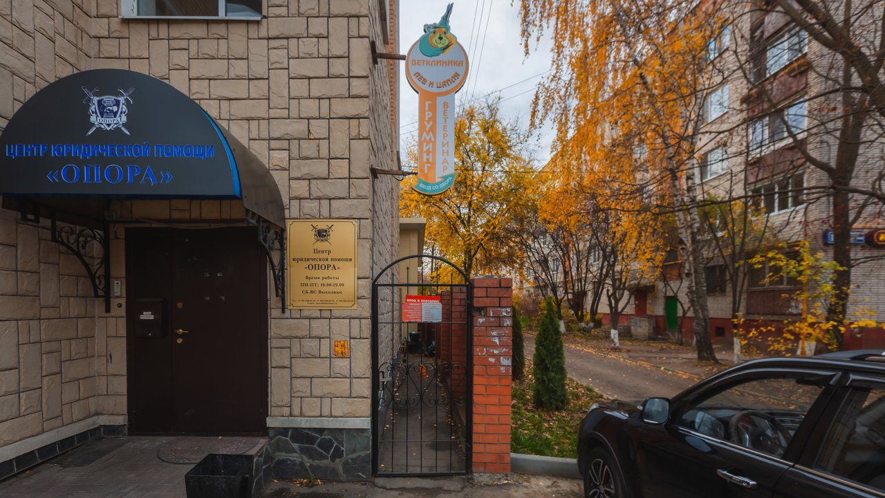 Поликлиника льва толстого хабаровск. Ветеринарная клиника на левом берегу Новокузнецк.