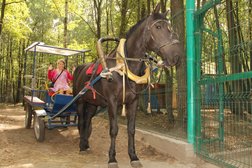 Зоопарк в гостиничном в комплексе Регина Петровский, с рейтингом 3.8 - находится по адресу Казань, пос. Петровский, Матюшинский квартал, 11 