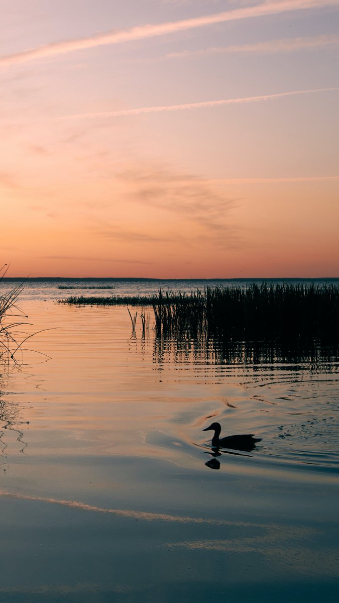 Озеро на закате