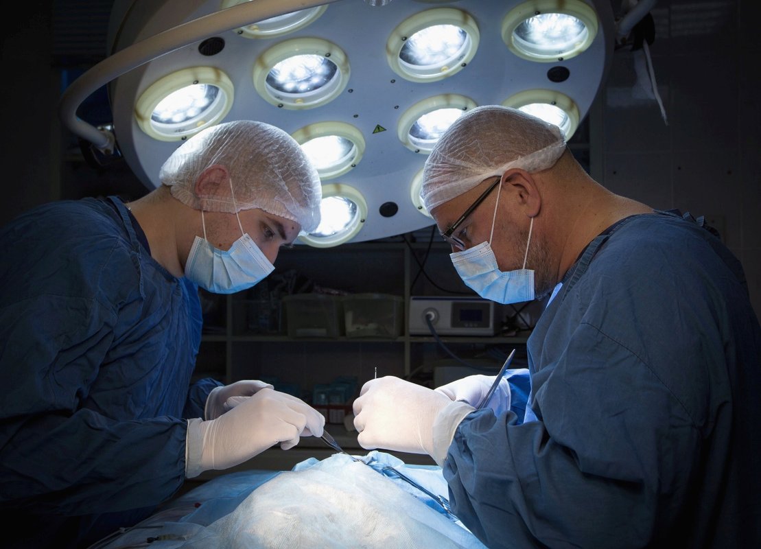 Центр ветеринарной медицины Клык+ на бульваре Гагарина - отзывы, фото ...