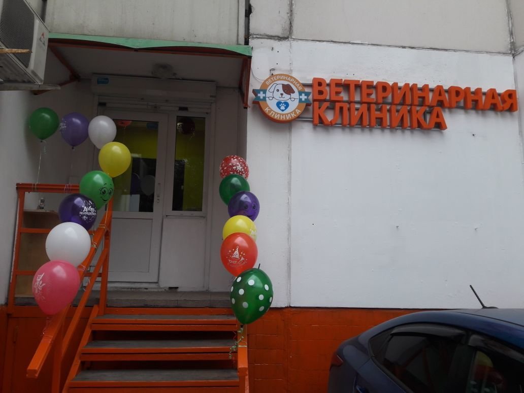 фотография Службы ветеринарной помощи Зоовет-24