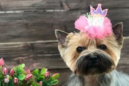 Салон GROOM, с рейтингом 5 - находится по адресу Челябинск, улица Чичерина, 29 