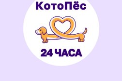 Ветеринарная клиника КотоПёс, с рейтингом 5 - находится по адресу Москва, Волоколамское шоссе, 1с1 