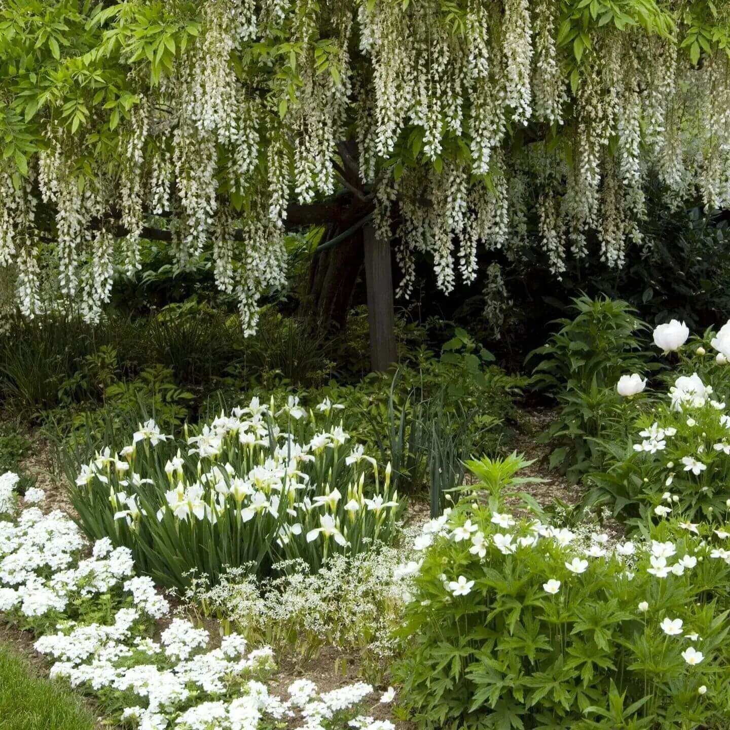 газоны новосибирск кольцово