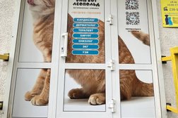 Ветеринарный центр Ваш Кот Леопольд, с рейтингом 4.8 - находится по адресу Нижний Новгород, улица Сергея Есенина, 32 