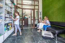 Ветеринарная клиника Любимый носик, с рейтингом 4.5 - находится по адресу Московская область, Балашиха, улица Бояринова, 24 