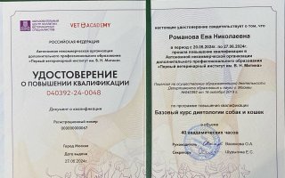 сертификат/документ ветеринара Евы Николаевны Романовой