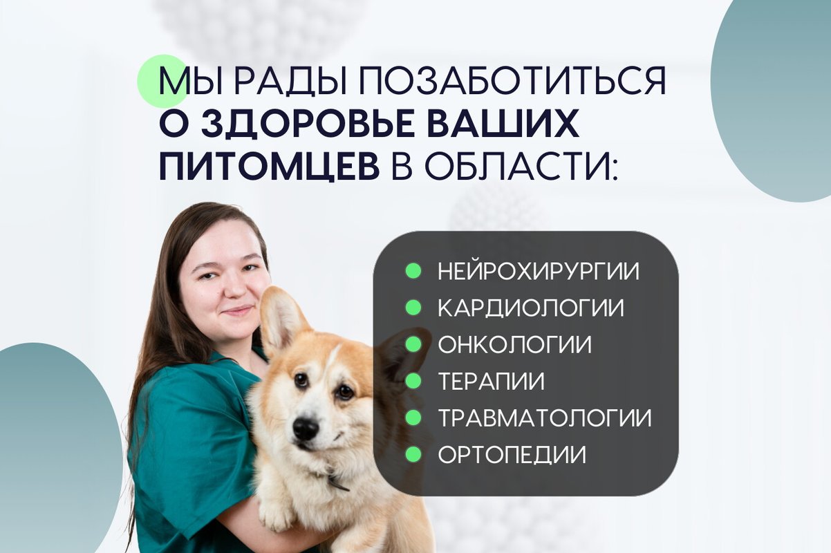 фотография Ветеринарной клиники Хвостатая помощь в Бронницком переулке, 1