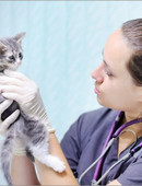 Коровкина (Кузьмина) Татьяна Сергеевна