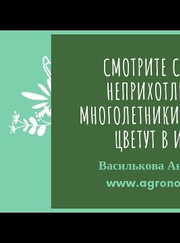 Благоустройство территории, газонокосильщик Анастасия Василькова