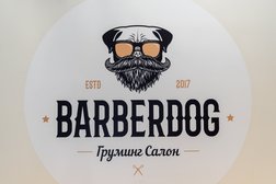 Barberdog