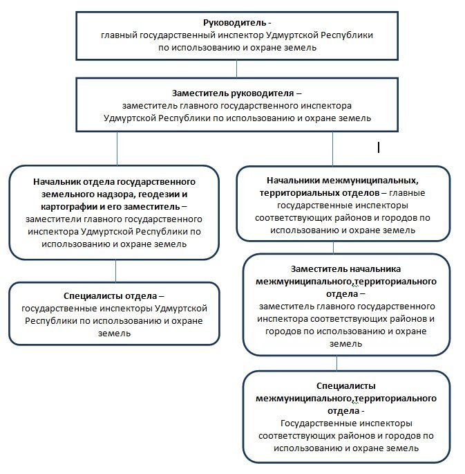 Структура росреестра схема