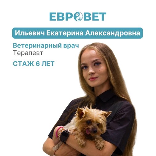Екатерина Александровна Ильевич