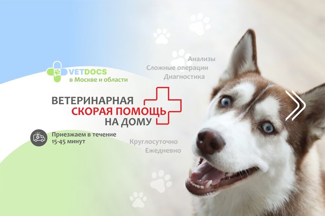 Vetdocs, ветеринарная служба на Пушкинской улице в Королёве, Москва -  отзывы, фото, цены, телефон и адрес - Zoon.ru